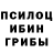 Псилоцибиновые грибы прущие грибы Bs Reime