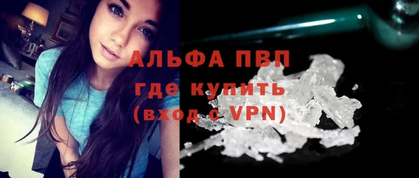 индика Покров