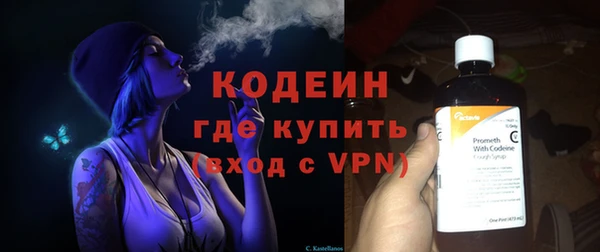 индика Покров