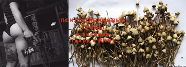 индика Покров