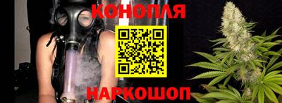 крисы Волжский