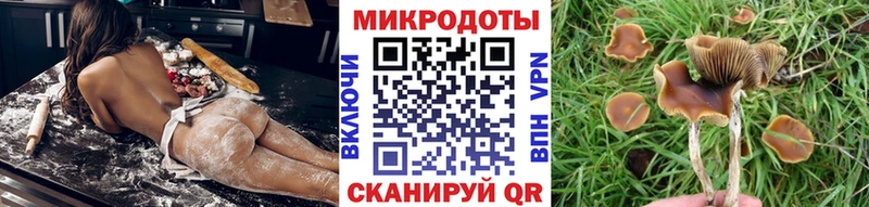 наркота  Балтийск  Псилоцибиновые грибы Magic Shrooms 