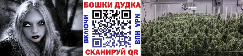 МАРИХУАНА сатива  закладка  Балтийск 